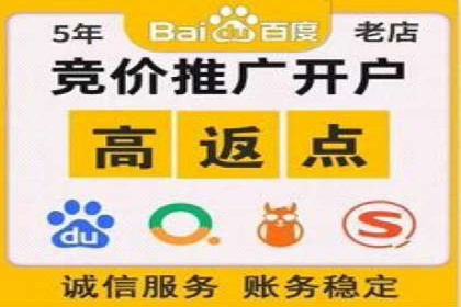SEM托管实战案例：揭秘高效广告投放秘诀